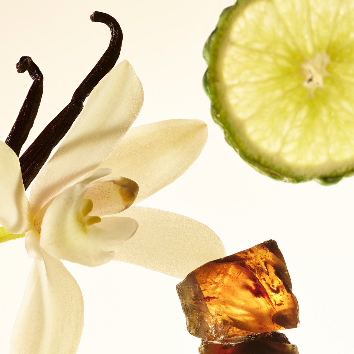 AMBER VANILLA RARE FRAGRANCE LAYERING BALM